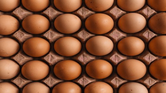 تفسير البيض في المنام – رؤيا بيضه في الحلم لابن سيرين