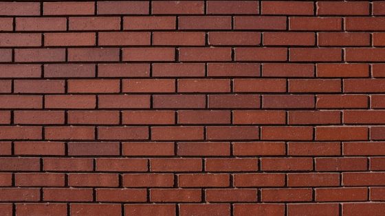 تفسير الحائط في الحلم – رؤية الحائط في المنام