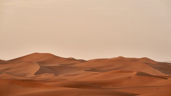 تفسير حلم الصحراء في المنام لابن سيرين