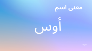 معنى اسم أوس