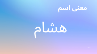 معنى اسم هشام
