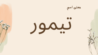 معنى اسم تيمور