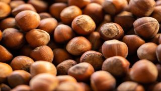 تفسير البلوط في الحلم رؤية اكل البلوط في المنام