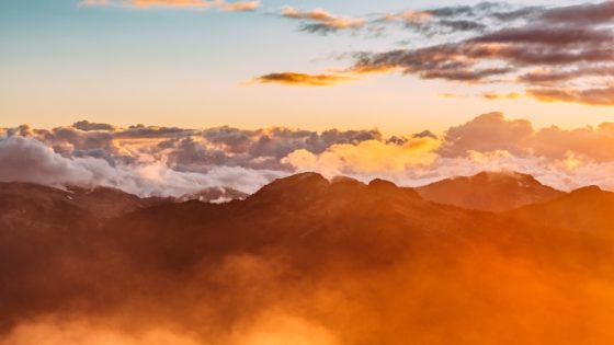 تفسير حلم اللون البرتقالي في المنام لابن سيرين