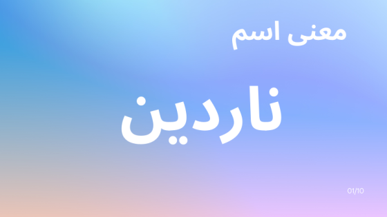 معنى اسم ناردين