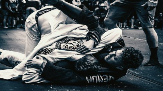 تفسير حلم الشجار مع الصديق في المنام لابن سيرين