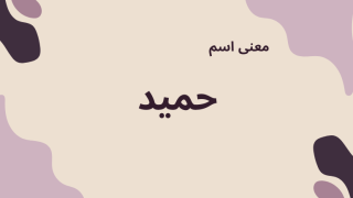 معنى اسم حميد