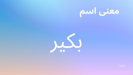 معنى اسم بكير