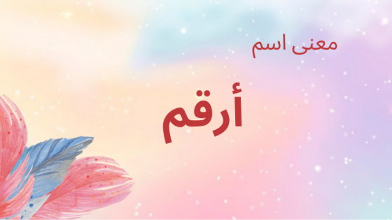 معنى اسم أرقم