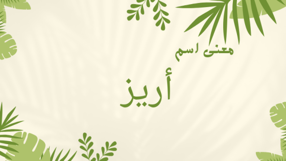 معنى اسم أريز