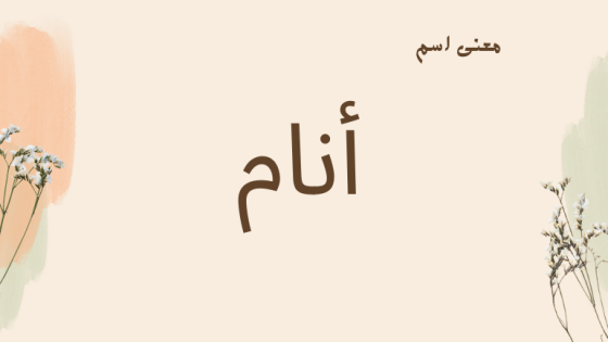 معنى اسم أنام