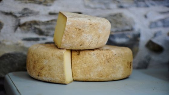 تفسير الجبن في الحلم او الجبنه في المنام