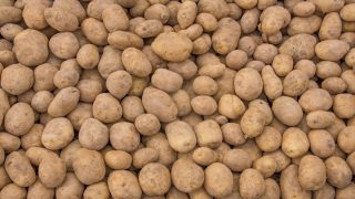 تفسير اكل البطاطا في الحلم رؤية البطاطا في المنام
