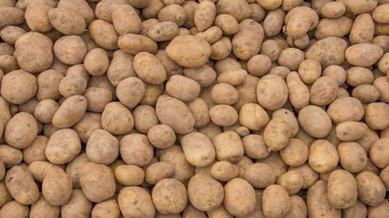 تفسير اكل البطاطا في الحلم رؤية البطاطا في المنام