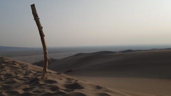 تفسير حلم العصا في المنام لابن سيرين