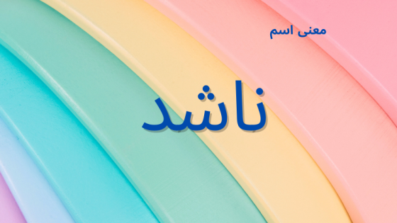 معنى اسم ناشد