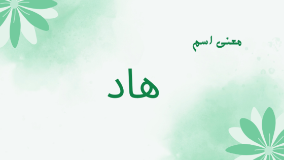 معنى اسم هاد