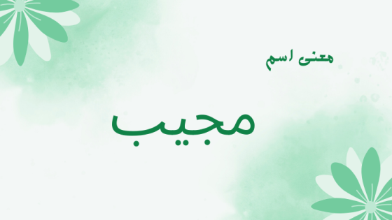معنى اسم مجيب