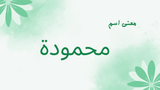معنى اسم محمودة