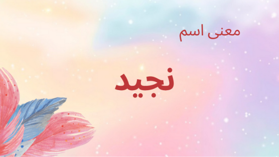 معنى اسم نجيد