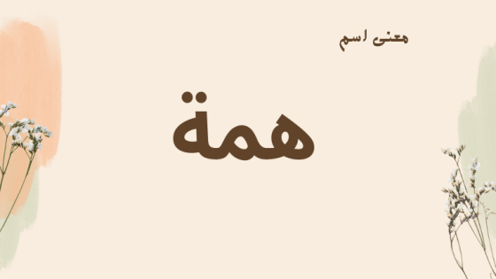 معنى اسم همة
