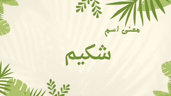 معنى اسم شكيم