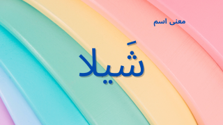 معنى اسم شيلا