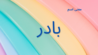 معنى اسم بادر