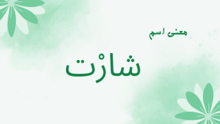 معنى اسم شارت