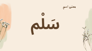 معنى اسم سلم