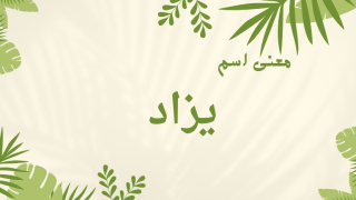 معنى اسم يزاد