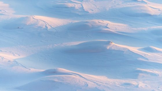 تفسير حلم الثلج في المنام لابن سيرين
