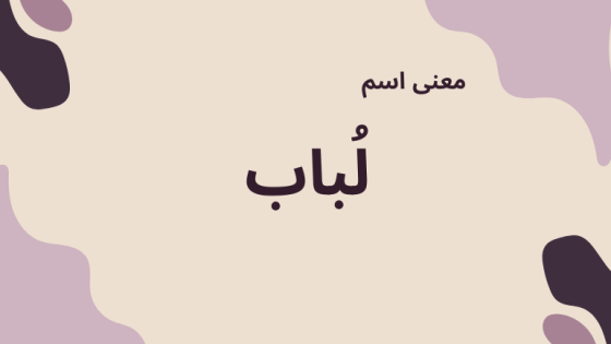 معنى اسم لباب