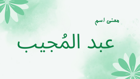 معنى اسم عبد المجيب