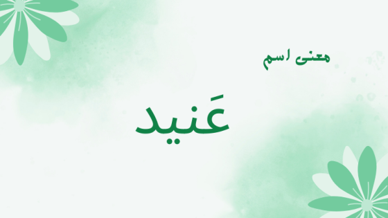 معنى اسم عنيد