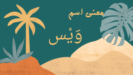 معنى اسم ويس