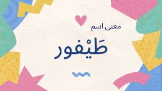 معنى اسم طيفور