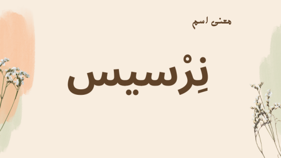 معنى اسم نرسيس
