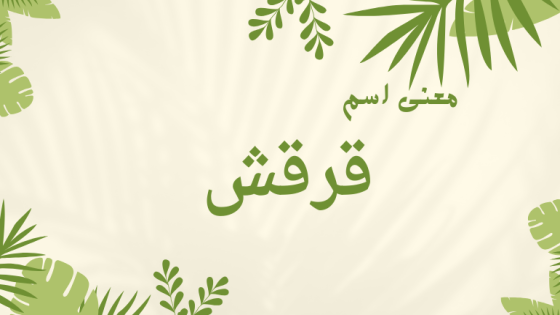 معنى اسم قرقش