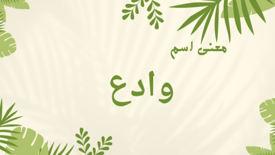 معنى اسم وادع