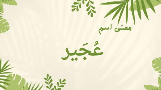 معنى اسم عجير