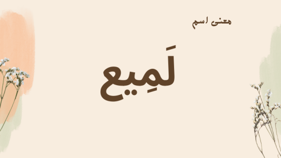 معنى اسم لميع