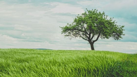 تفسير رؤية الأشنان في المنام