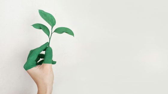 الريحان في المنام لابن سيرين و النابلسي