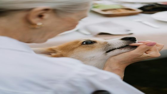 تفسير حلم عضة الكلبة في اليد