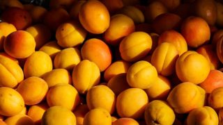 تفسير رؤية المشمش في المنام ومعناه