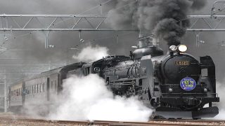 تفسير حلم القطار والسكة الحديد