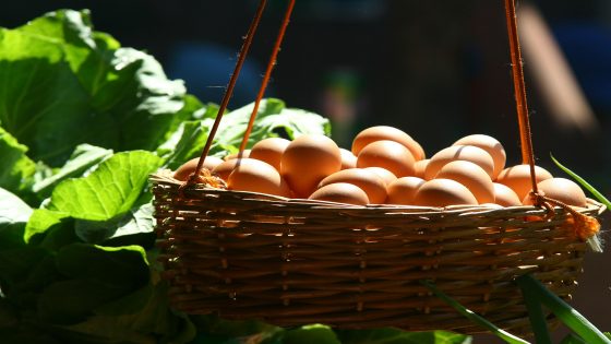 شراء البيض في المنام للعزباء