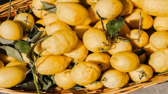 تفسير رؤية السفرجل في المنام