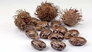 كيف تبطل مفعول حبة الملوك؟
